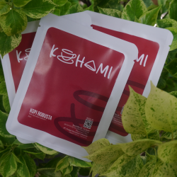 Kohami Robusta Drip 12 Gram